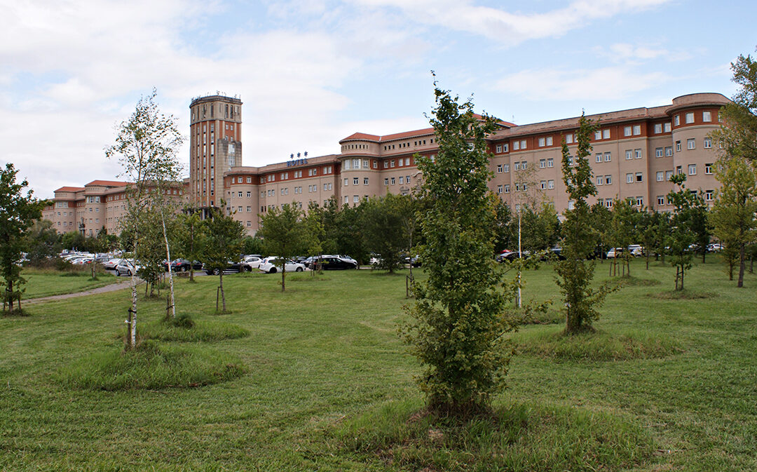 ¿Conoces el «Bosque de la Concordia»?
