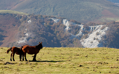 Bizkaia a pie