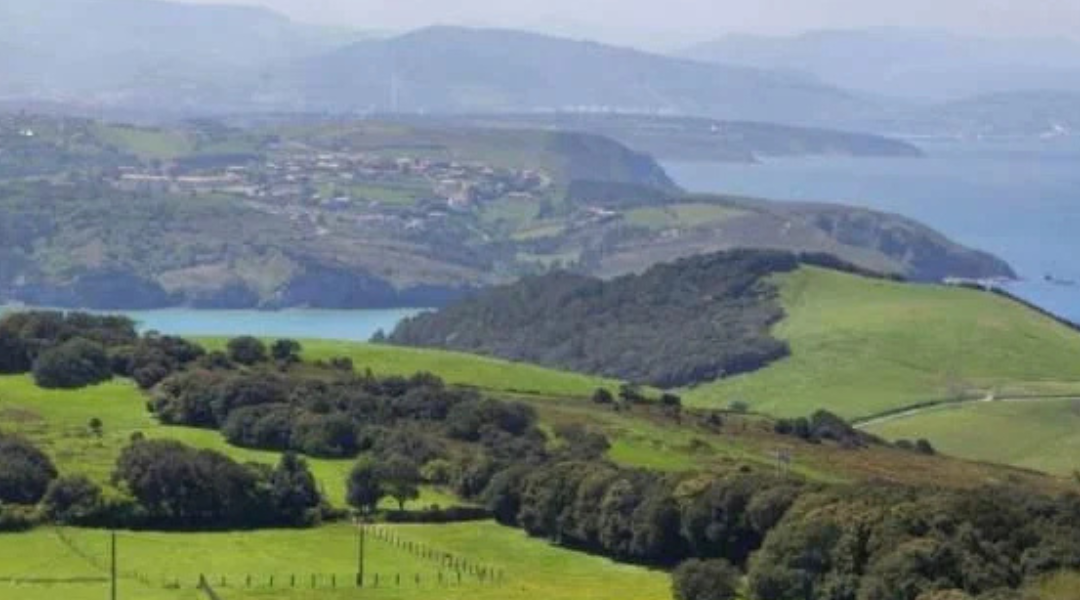 Actividades de verano en la comarca de Uribe: mar, naturaleza y aventura