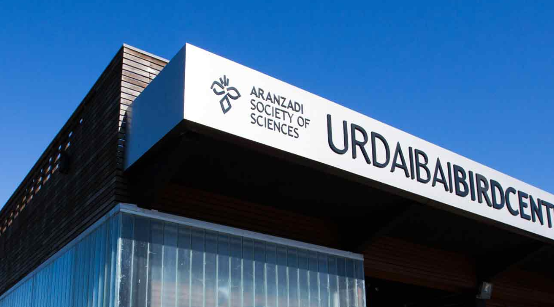 Qué ver en Urdaibai: planes para una escapada desde Bilbao