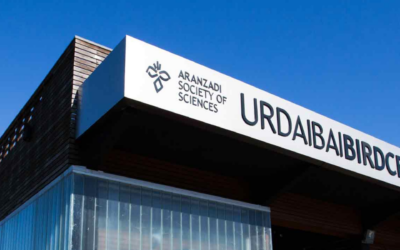 Qué ver en Urdaibai: planes para una escapada desde Bilbao